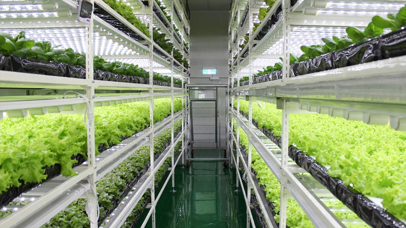 瑞綻塑料pvc型材管堅(jiān)固耐用，節(jié)省空間